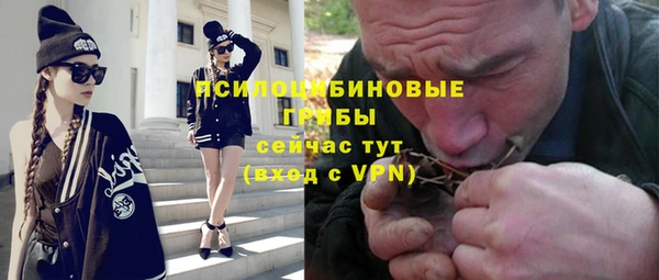 твердый Алексеевка