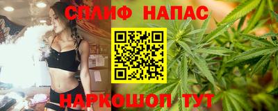 дживик Нальчик