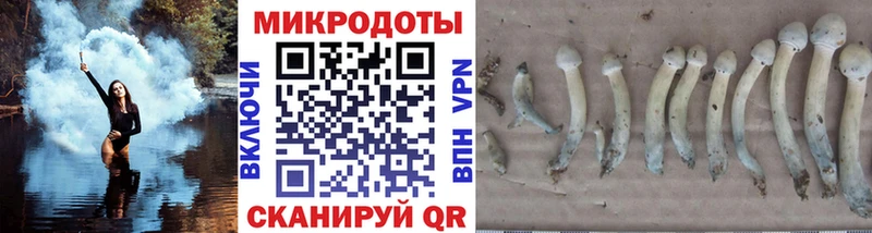 наркота  Черкесск  Галлюциногенные грибы Magic Shrooms 