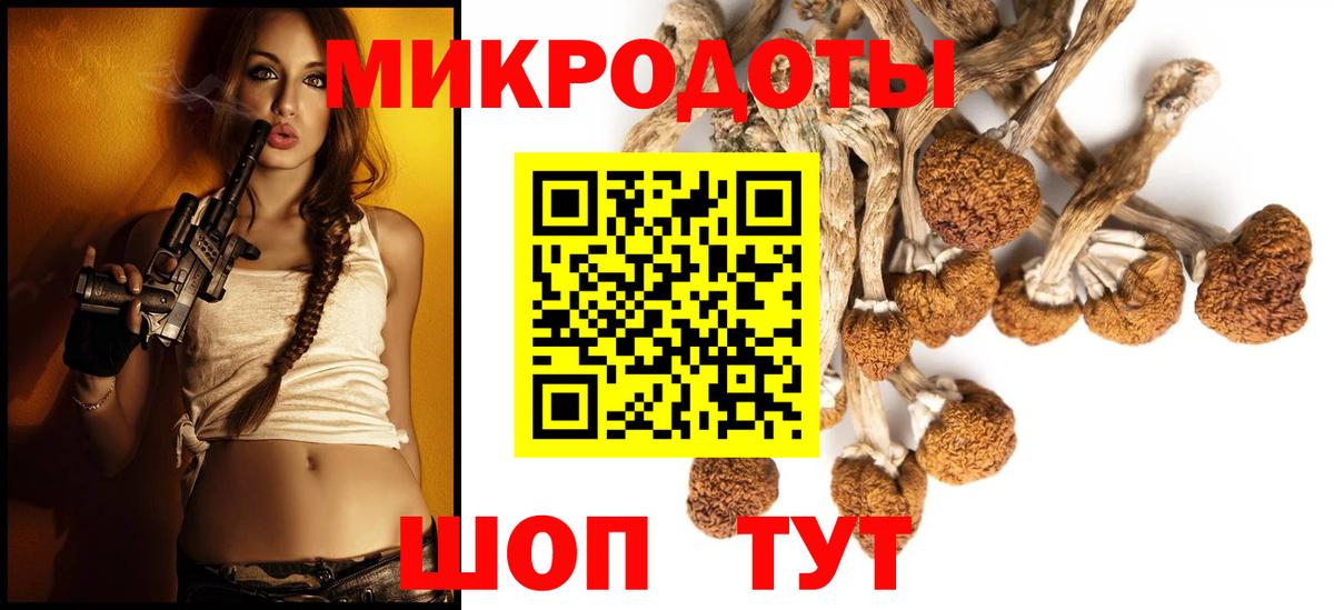 Черкесск  Галлюциногенные грибы мицелий  Вход с VPN 