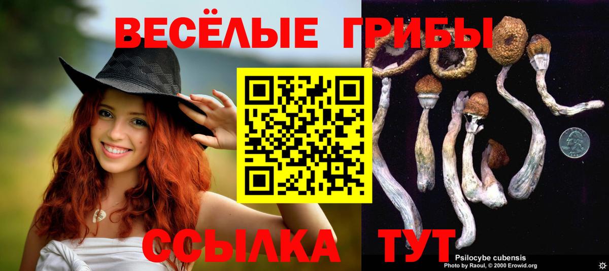 Псилоцибиновые грибы Magic Shrooms Черкесск